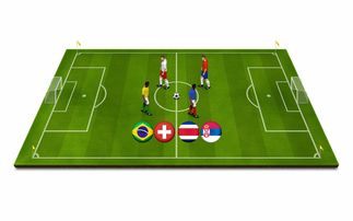 米兰体育-青少年体育运动安全保障体系构建与应用研究，青少年体育工作