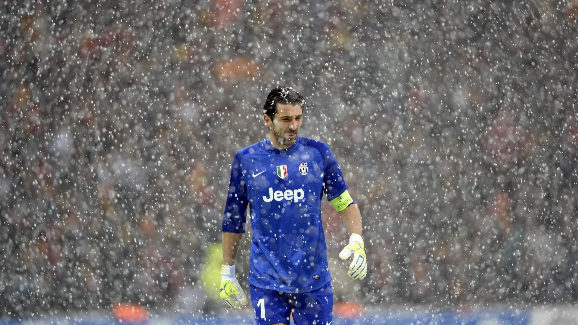 澳大利亚“飞鱼”麦克沃伊强势回归